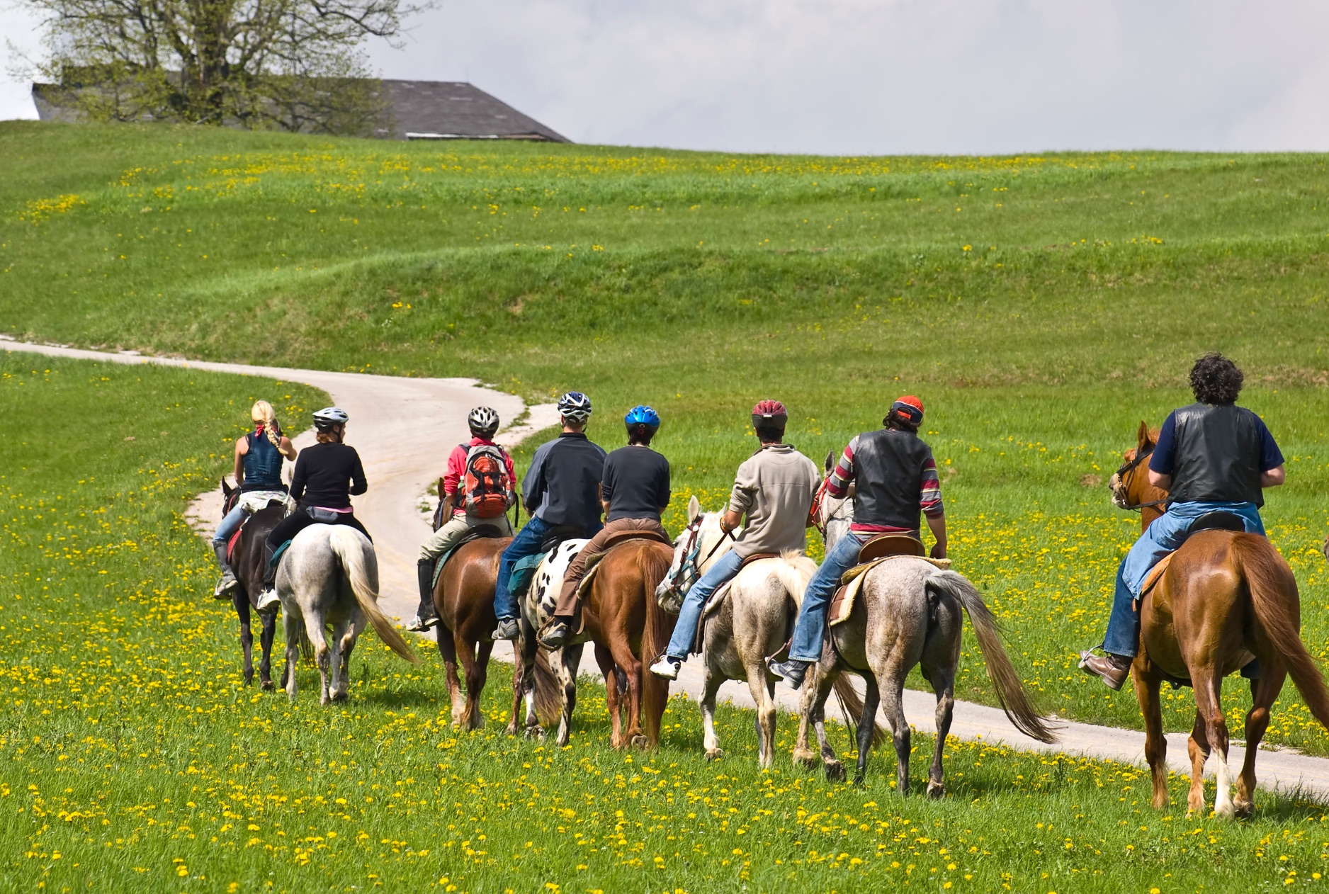 Groupe en balade à cheval sur un sentier herbeux autour du Domaine de la Myrtille