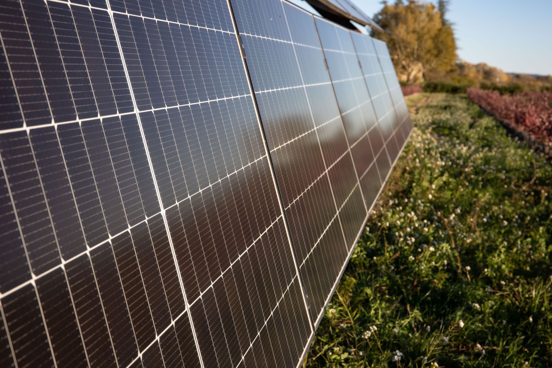 Une rangée de panneaux solaires est installée dans un champ herbeux.